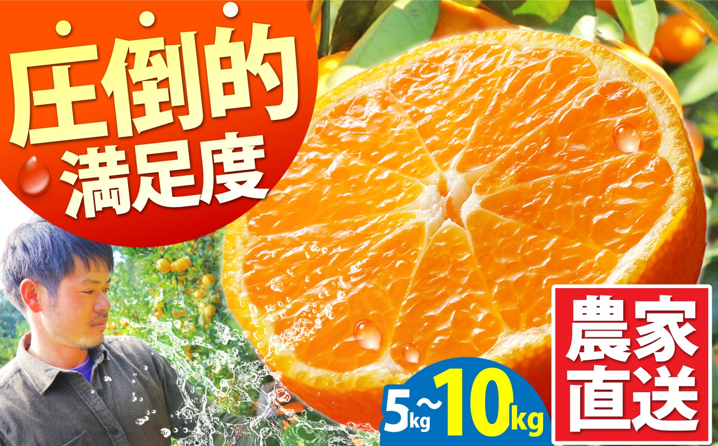 みかん 【選べる内容量】「2026年10月下旬～発送」★ 温州みかん 5kg 10kg ★ / みかん ミカン 蜜柑 甘い フルーツ 果物 みかん ミカン 蜜柑 フルーツ 果物 みかん くだもの柑橘 旬 果実 甘味 酸味 甘い mikan 産地直送 農家直送 数量限定 国産 先行予約 ご家庭用 ミカン ご当地 お返し ミカン 贈り物 人気 / 南島原市 / 蜜柑屋まつお [SCQ002]