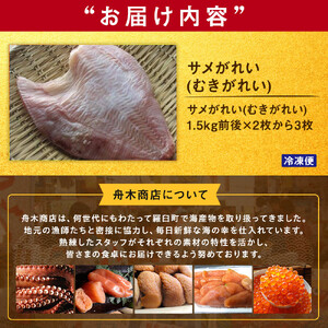 羅臼産　サメがれい(むきがれい)｜北海道　魚介類