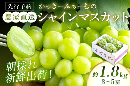 【先行予約】根域制限シャインマスカット 約1.8kg 3～5房《9月中旬頃から発送》果物 シャインマスカット 【183_1882】