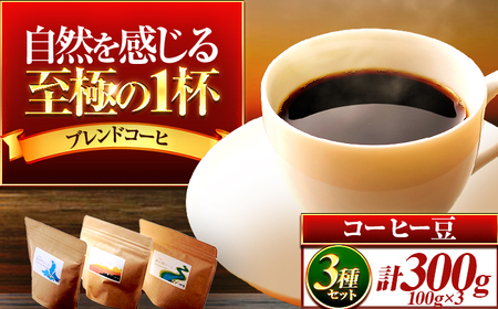 珈琲３００g 小浜セット(豆)［Y-01100101］ [BFAI015]