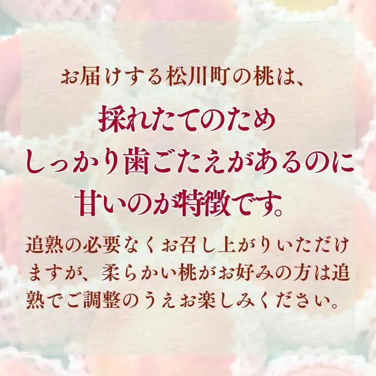 JA02　桃 あかつき 約3kg / 2027年7月中旬～7月下旬頃配送予定//贈答 センサー選別 糖度センサー 桃 もも 果物 フルーツ ギフト あかつき 太鼓判 優糖生 