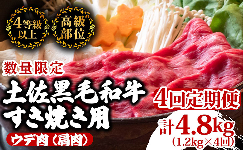 【定期便4回】土佐黒毛和牛ウデ肉すき焼き用 計4.8kg（1.2g×4ヶ月連続お届け)  3Lコース | 特撰 ウデ肉 肩肉 最上位等級 A4 A5 最高ランク 贅沢 すきやき スキヤキ用 鍋 焼肉用 小分け 冷凍 国産 牛肉 高知県 須崎 TM66000