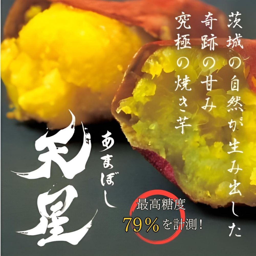 【ふるさと納税】さつまいも 紅はるか 冷凍焼き芋1500g 天星（あまぼし）メディア 芋蜜