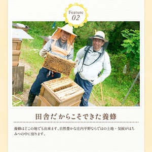 SA2854　国産 はちみつ 百花蜜 「水凪(みずなぎ)」 1個 (300g×1個)