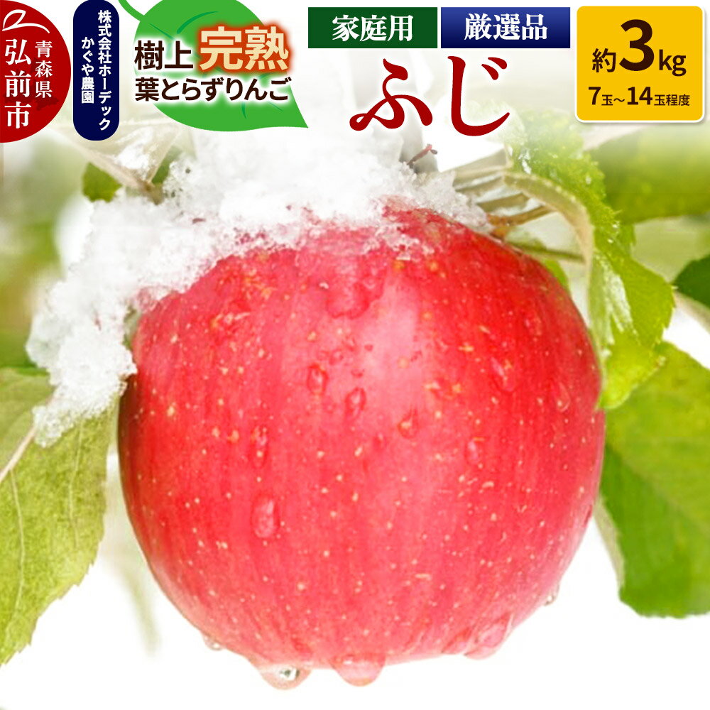 【ふるさと納税】【レビューキャンペーン】【25年11月〜発送】りんご ふじ 約3kg（7玉〜14玉程度）樹上完熟葉とらず【家庭用】厳選品 青森県産 りんご