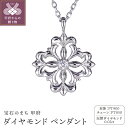 【ふるさと納税】 ペンダント ネックレス ダイヤモンド ジュエリー アクセサリー レディース 0.02ct PT900 PT850 プラチナ ゴシック調 普段使い ギフト プレゼント ジュエリーケース付 鑑別書付 保証書付 k120-063