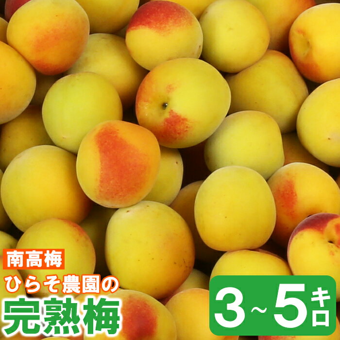 【ふるさと納税】ひらそ農園の完熟梅 3kg〜5kg 梅 南高梅 完熟梅 梅干し 梅酒 梅干 梅シロップ 梅ジャム 3キロ 5キロ 数量限定 先行予約 6月 ＜004-702＞