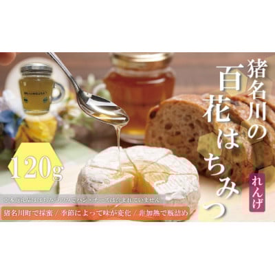 
            猪名川の百花はちみつ(れんげ)2本セット【1512244】
          