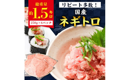 勝浦市の人気の海鮮お礼品 ネギトロ 250g×6パック(合計約1.5kg)【1214928】