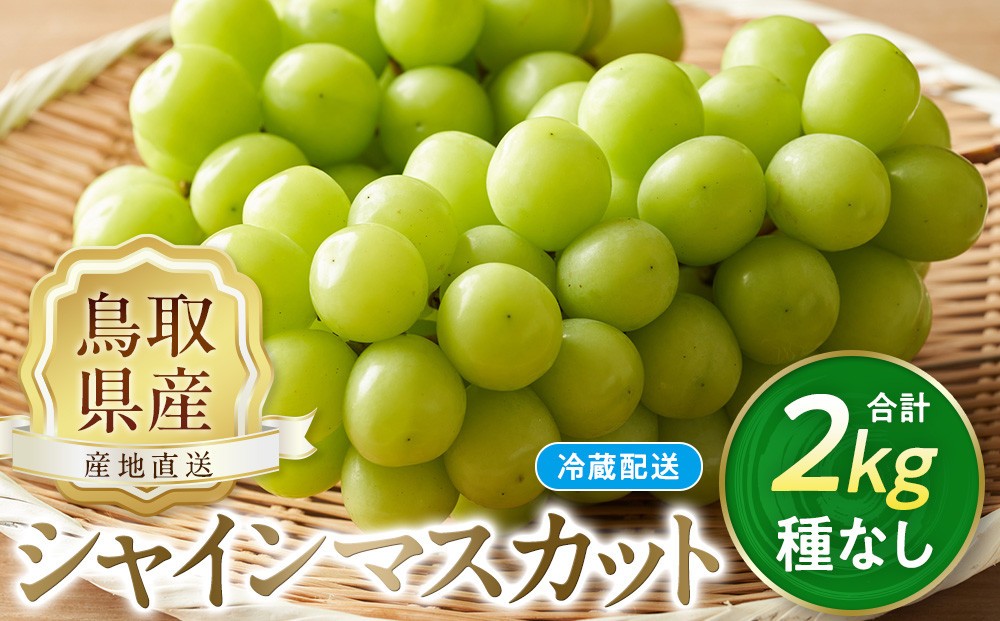 
                  【先行予約】数量限定 鳥取県産ぶどう シャインマスカット 種なし 2kg 国産 葡萄 ブドウ シャインマスカット シャインマスカット先行予約 国産シャインマスカット 旬 シャインマスカット2kg 種なしシャインマスカット 鳥取県産シャインマスカット 果物 くだもの フルーツ 限定 人気 おすすめ 鳥取県 琴浦町 送料無料
                
