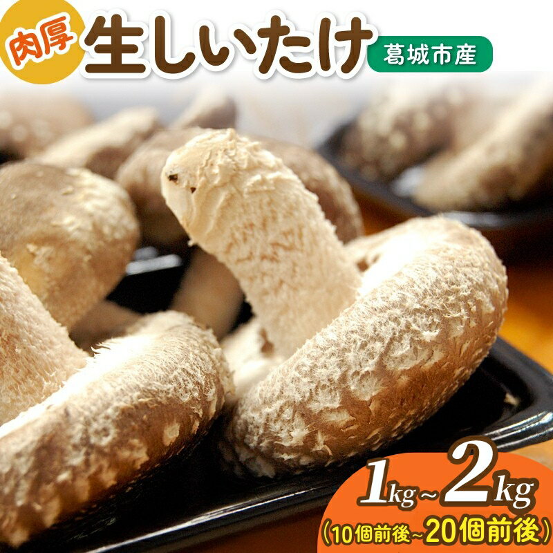 【ふるさと納税】 葛城市産 生しいたけ（1kg・2kg）/ 椎茸 シイタケ きのこ キノコ 生 国産 セット 新鮮 菌床 スライス 奈良県 葛城市
