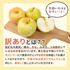 【2025年11月後半発送】【訳あり】葉とらずホワイトふじ3kg