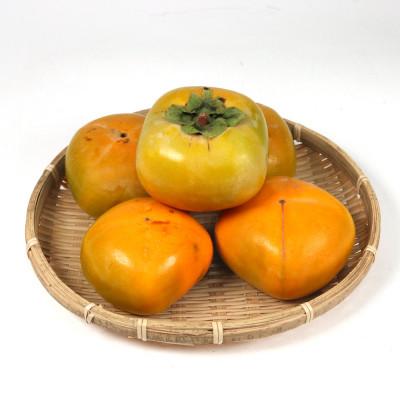 ふるさと納税 日高町 家庭用 たねなし柿1kg【訳あり】【刀根早生・平核無柿(ひらたねなしかき)】 |  | 01