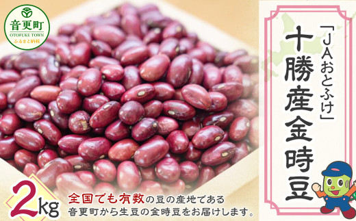〔先行受付〕【令和8年産】 金時豆2kg「JAおとふけ」【B14】【2026年10月下旬頃より順次発送】