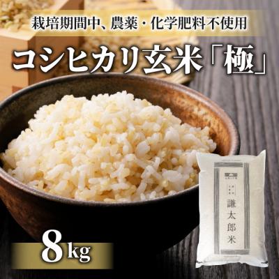 ふるさと納税 東御市 【太陽と大地】令和7年産「八重原産コシヒカリ玄米「極」(栽培期間中農薬化学肥料不使用)8kg」