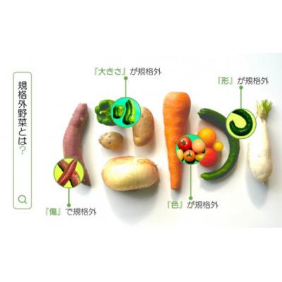 ふるさと納税 南あわじ市 【シーサイドグロサリー】淡路島産規格外野菜ボックス・Lサイズ(4〜5人向け) |  | 02