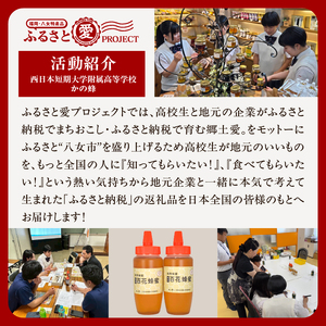 国産百花蜂蜜1kg（500gとんがり容器×2本）【ふるさと愛プロジェクト】 ハチミツ 非加熱 純粋はちみつ ハニー 福岡県 八女市 保存食 防災グッズ 非常食 ボトル