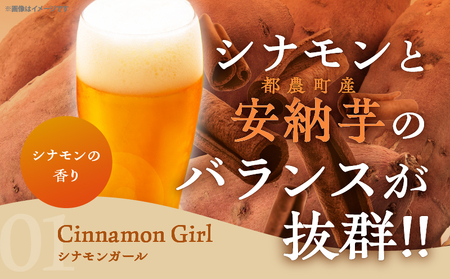都農クラフトビール詰め合わせ6本セット 酒 アルコール 飲料 国産_T016-003【農の都BBQ特集 ポンカン ビール シナモン ビール 日向夏 ビール お酒 ビール 晩酌 ビール  ビール いも焼