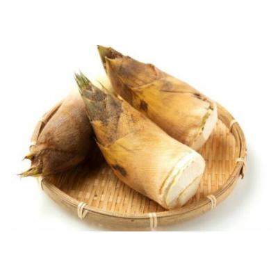ふるさと納税 京都市 <先行受付>【皮付き京都西山産】 朝掘りたけのこ 2kg(米ぬか付)【アドプランツコーポレーション】 |  | 01
