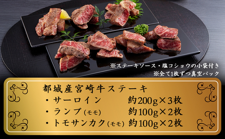 【数量限定★2024グランドチャンピオン牛】宮崎牛ステーキ食べ比べセット1kg_AK-6403_(都城市) きめ細やかな肉質 サシの美しさ 口どけの良い脂の旨み 宮崎県 都城産宮崎牛 期間限定 サーロ