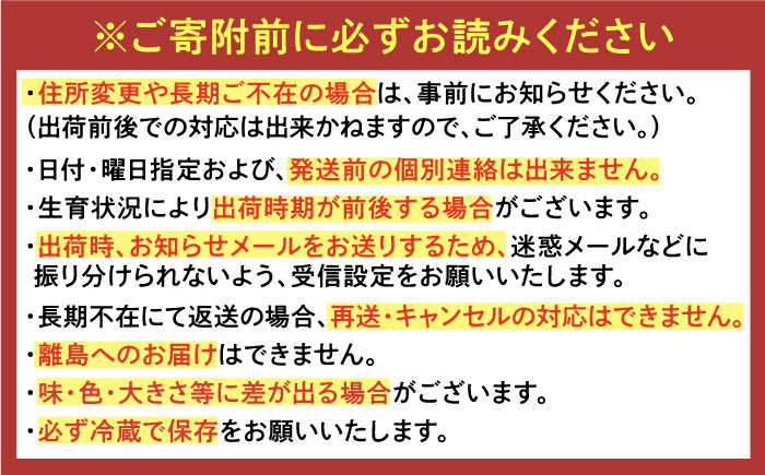 【2025年発送分 先行予約】【ビタミンC豊富な濃厚いちご】さちのか 500g（250g×2パック） / 苺 イチゴ いちご フルーツ 果物 / 佐賀県 / さかもとさんの畑 [41ABAA007]