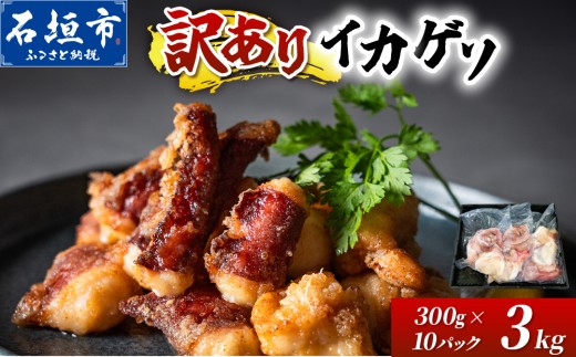 ＜訳あり＞ 石垣島産 セーイカの極上げそ 300g×10パック 加熱用 ※3～5月出荷不可※ | イカ セーイカ ソデイカ げそ ゲソ イカゲソ いかげそ 逸品 沖縄県 石垣島 訳あり