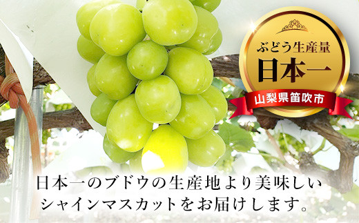 ※梱包写真はイメージです