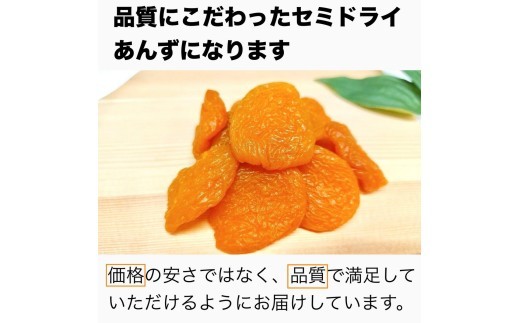 人気 セミドライ（半生あんず）横島あんず40ｇ×3袋セット