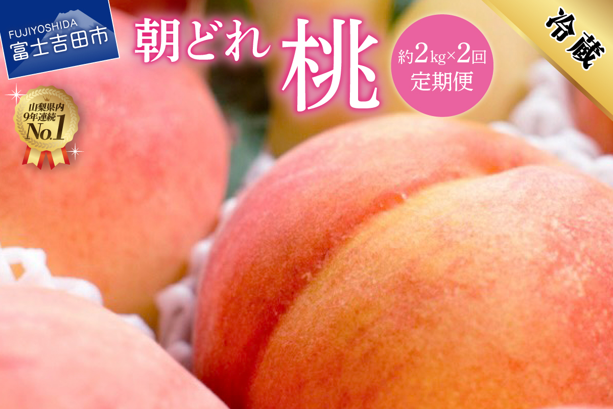 【2026年発送】【2回定期便】山梨朝どれ桃2kg×2回配送（白鳳系・白桃系）