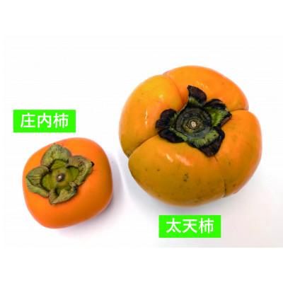 ふるさと納税 鶴岡市 太天柿2kg |  | 01