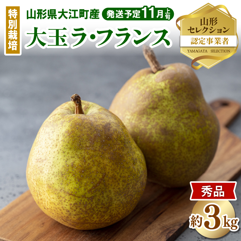 《先行受付》特別栽培 大玉 ラフランス 約3kg・秀品4L～3L  【2026年11月上旬頃～発送予定】【糖度13度以上 ・山形セレクション認定品・山形洋梨・大江町産・鈴木果樹園】