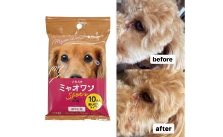 涙やけ用ウェットティッシュ（10枚入 40個）ミャオワンSpot