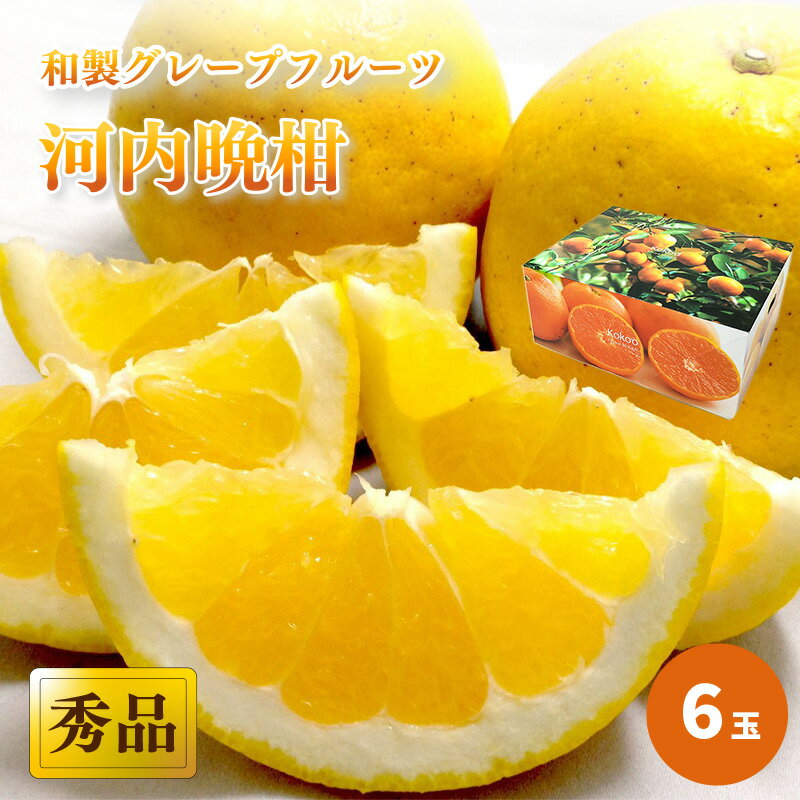 【ふるさと納税】 【2025年4月中旬頃から発送】 河内晩柑 秀品 6玉 ギフトBOX入り｜ みしょうゴールド 美生柑 愛南ゴールド ジューシーオレンジ 夏文旦 熟成 爽やか みかん ミカン 蜜柑 甘い 数量 期間限定 愛媛県 甘み 柑橘 松山市 贈答 新鮮 ココオ Koko'o