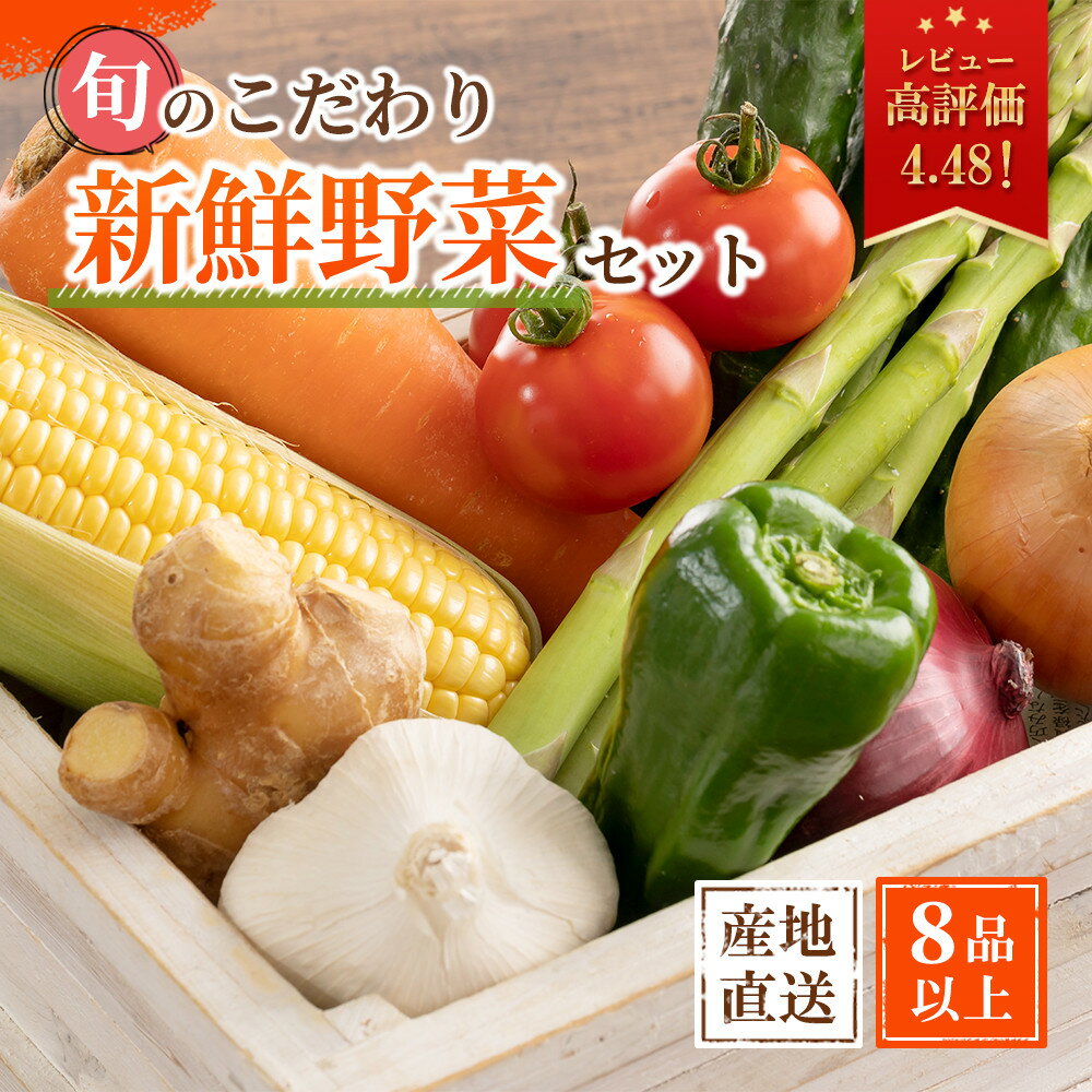 【ふるさと納税】旬の新鮮野菜詰め合わせ 8種以上【野菜セット】 | 和歌山県 印南町 和歌山 野菜 季節の野菜 季節の果物 セット 産地直送 新鮮 野菜農家 季節 サラダ やさい 送料無料 詰め合わせ おまかせ 返礼品 支援 楽天ふるさと 納税 産直 国産 お楽しみ おまかせセット