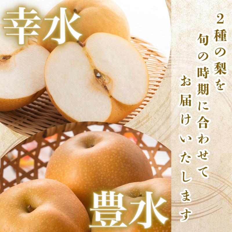 【8月上旬から9月上旬まで発送】 梨 2kg以上 豊水 幸水 容量 選べる フルーツ 果物 なし 食べ比べ 旬 国産 厳選 徳島県