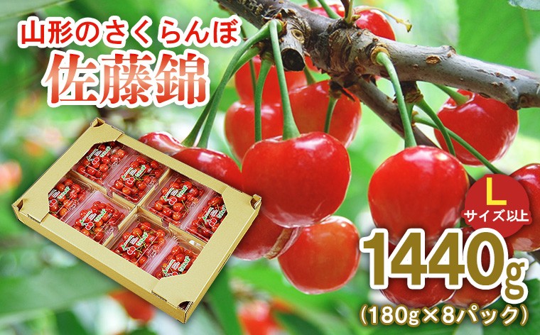 
            山形のさくらんぼ 佐藤錦  1440g (180g×8パック)Lサイズ以上 【令和8年産先行予約】FS25-515 くだもの 果物 フルーツ 山形 山形県 山形市 2026年産
          
