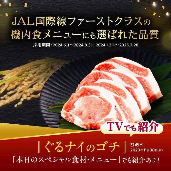 【12回定期便】諫美豚おすすめバラエティセット3kg / 諫美豚 豚肉 肩ロース ステーキ モモ 切り落とし ハンバーグ ロースステーキ / 諫早市 / 株式会社土井農場 [AHAD011]