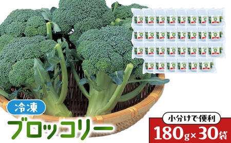 JA香川県　冷凍ブロッコリー30袋 | 冷凍ブロッコリー