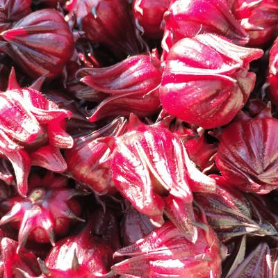 ふるさと納税 掛川市 静岡県掛川市産　ハイビスカスローゼル　約400g |  | 01