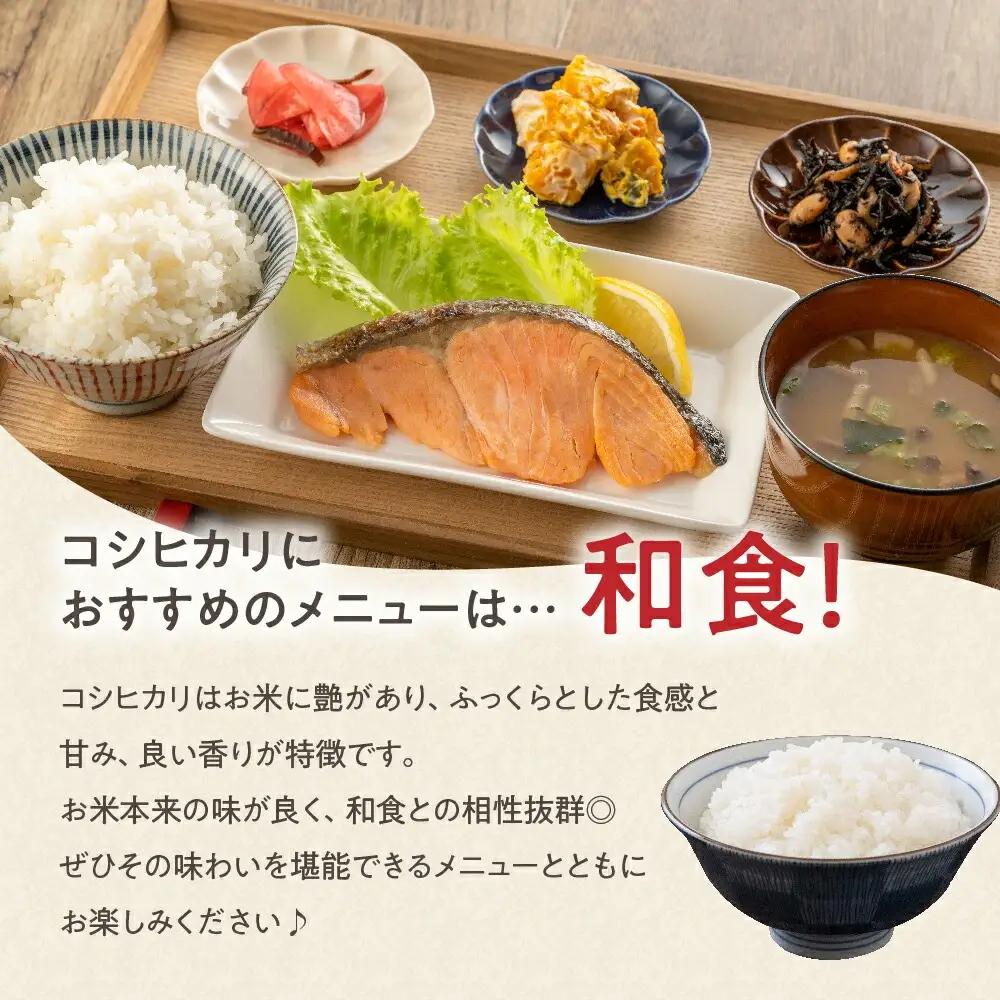 令和7年産 コシヒカリ 10kg 精米 山形