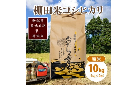 極少量米:数量限定令和6年産/新潟県上越市大島区産 棚田米コシヒカリ 10kg(5kg×2)精米