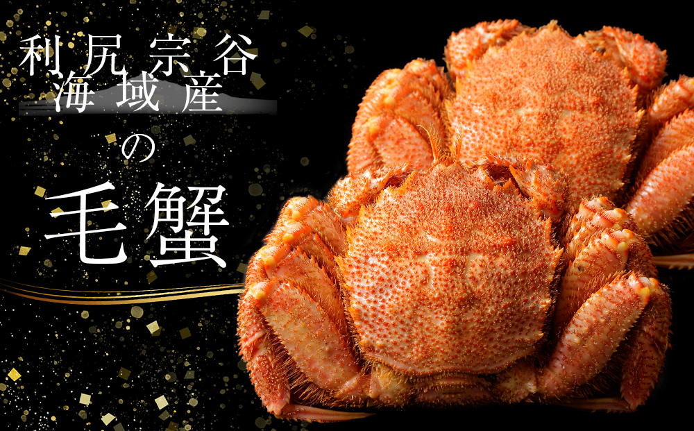 【2025年4月以降発送】北海道 利尻・宗谷産 毛ガニ 特大サイズ（900g前後） 2尾セット＜利尻漁業協同組合＞