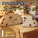 【ふるさと納税】 カンパーニュ 果物 入り 1ホール パン 天然酵母 全粒粉 国産 小麦 徳島県 阿波市