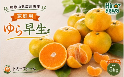 
                  ゆら早生 5kg 家庭用 サイズ混合【tom003-c-5】
                