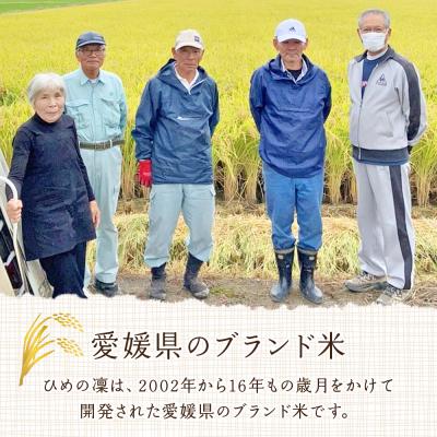 ふるさと納税 西予市 新米<令和7年産 愛媛県推進米 ひめの凜 約5kg> お米 |  | 02
