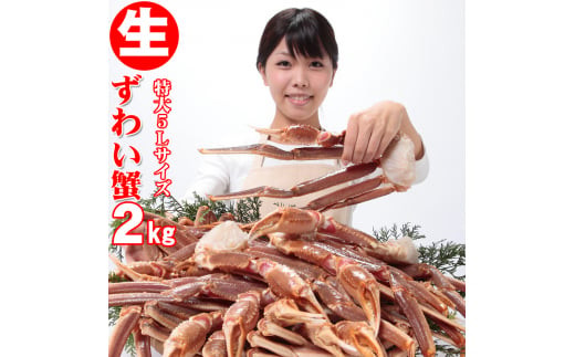 【特大サイズ】 生ズワイ蟹 5L 2kg 活け締め 急速冷凍 鮮度抜群 生ズワイガニ 生楚蟹 生ずわいがに カニ かに ズワイガニ ずわいがに 楚蟹 ボイルカニ ボイルズワイガニ カニ鍋 蟹鍋 かに鍋