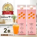 【ふるさと納税】「サジー 100%」ジュース 1,000ml×2本 セット｜サジージュース サジー シーベリー 沙棘 グアマラル 健康ドリンク 健康 美容 栄養 果汁 鉄分補給 栄養補給 健康食品 ギフト 贈答 贈り物 プレゼント お祝 ご褒美 飲み物 おいしい ドリンク _DX04