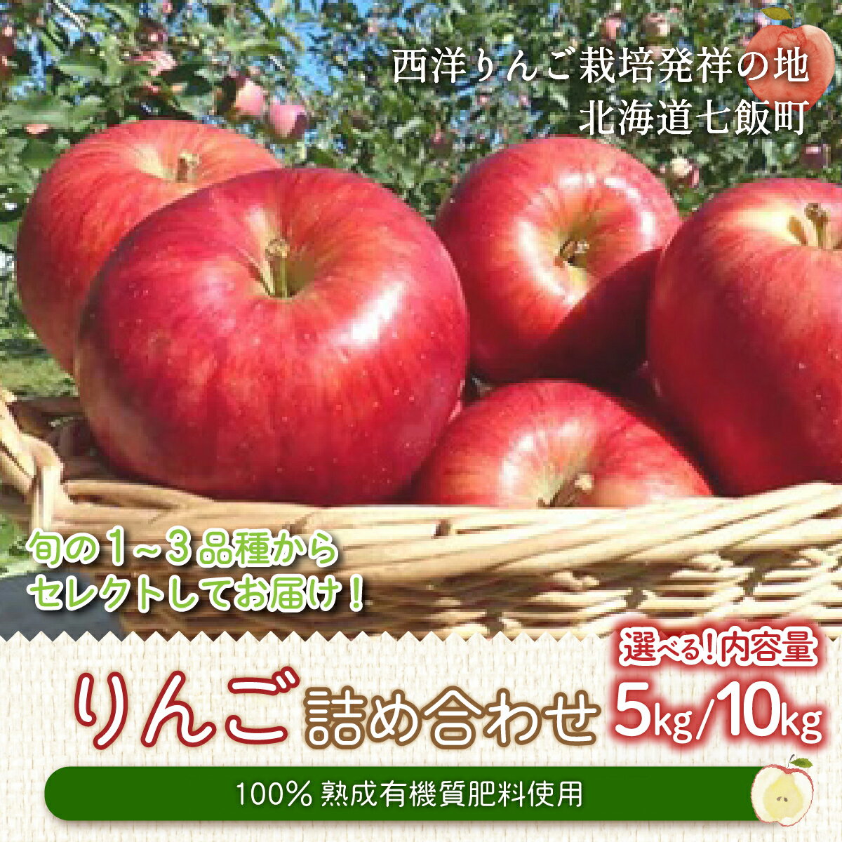 【ふるさと納税】【先行予約 令和8年8月発送】北海道七飯町産 りんご 5kg 10kg 選べる 甘みたっぷり 有機質肥料使用 林檎 フルーツ 果物 北海道産