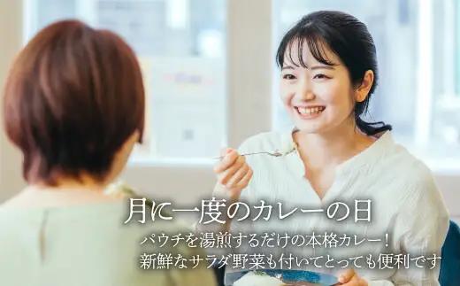 【全12回定期便】旬野菜×手作りカレーセット  /ヒロファミリーフーズ[AGBX027] カレー 定期便
