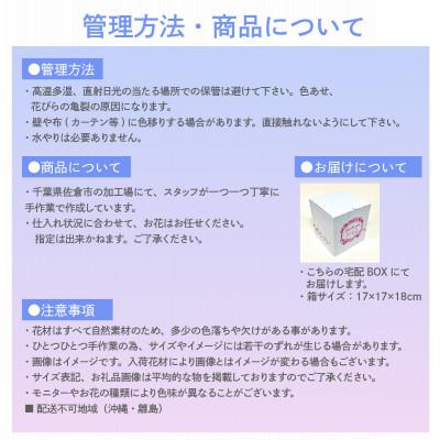 ふるさと納税 佐倉市 プリザーブドフラワーローズドーム ピンク系 お祝いやお誕生日におすすめ |  | 03